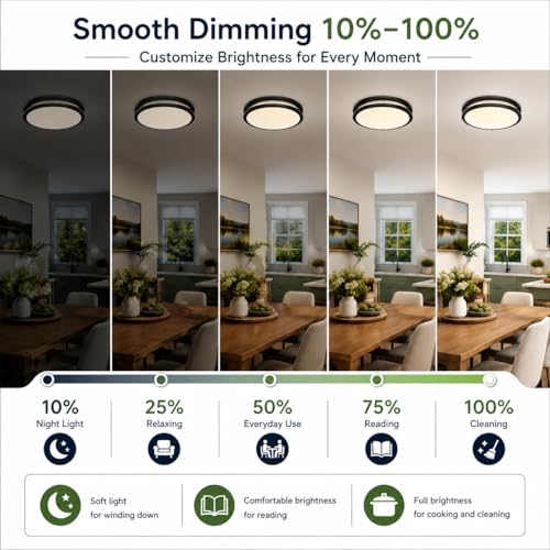Ceiling Lights