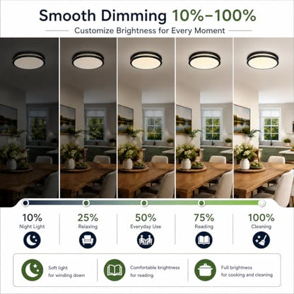 Ceiling Lights