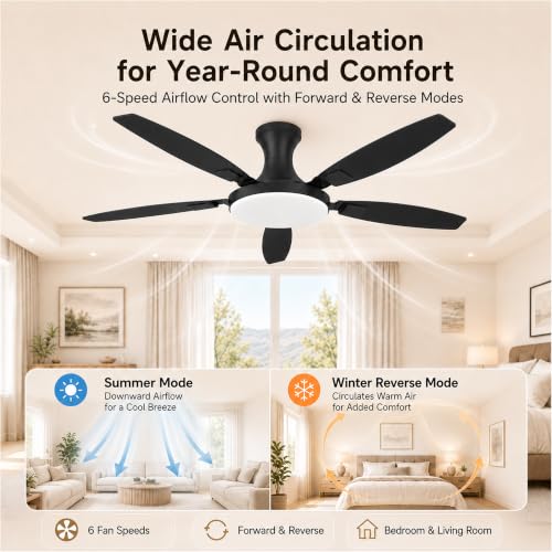 52 Inch Ceiling Fan with Lights and Remote