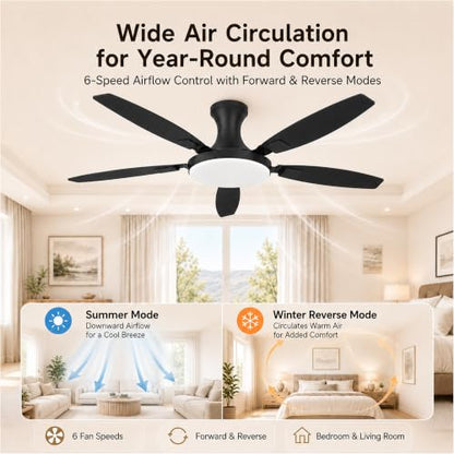 52 Inch Ceiling Fan with Lights and Remote