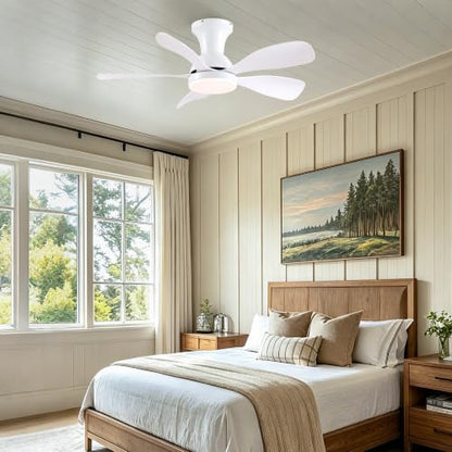 Ceiling Fan for Bedroom