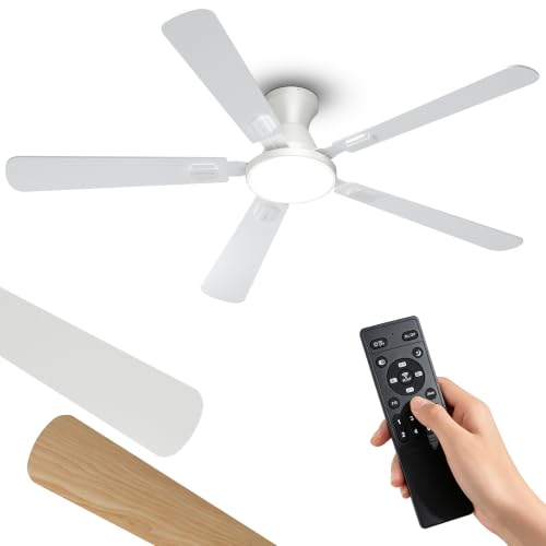 Ceiling Fans with Lights