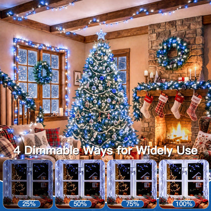 500 LED Christmas Lights Outdoor (Blue and White / 500 LED)