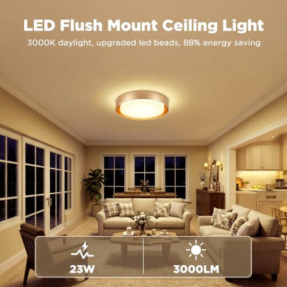 Flush Mount Ceiling Light