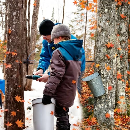 Maple Syrup Tapping Kit