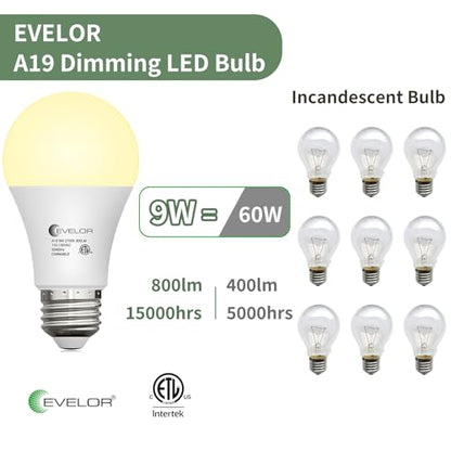 A19 LED Light Bulbs