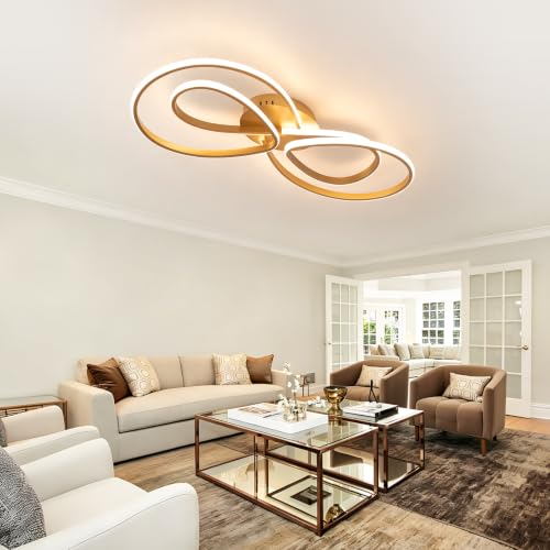 Modern LED Ceiling Light