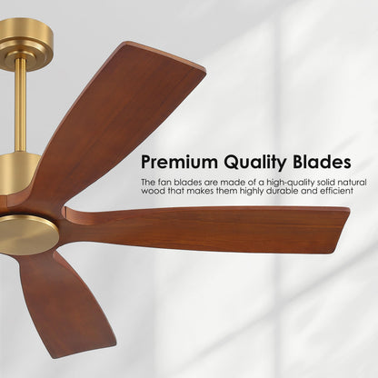 54 Inch DC Ceiling Fans without Light (Aged Brass and Dark Walnut / 54")