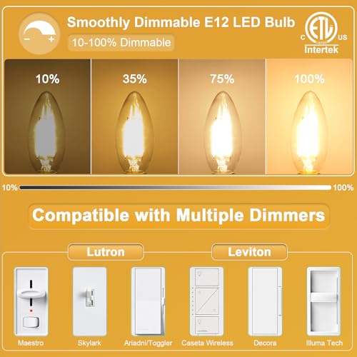 10 Pack E12 LED Light Bulb 60W Equivalent 3000K Soft White for Chandelier (10 Count (Pack of 1))