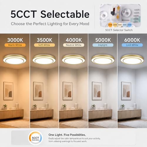 Gold LED Flush Mount Ceiling Light 20 Inch (Gold / 20Inch)