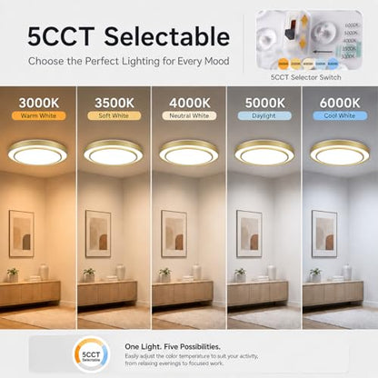 Gold LED Flush Mount Ceiling Light 20 Inch (Gold / 20Inch)