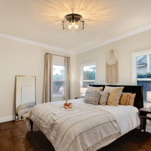 Black Farmhouse Chandelier