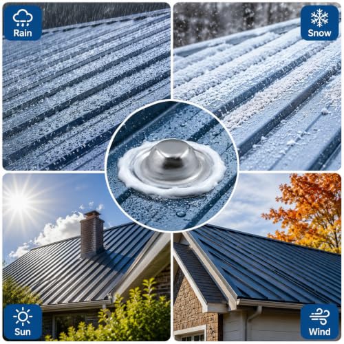 Metal Screw Roof Caps