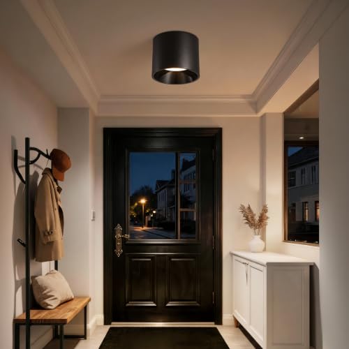 Flush Mount Ceiling Light Fixture