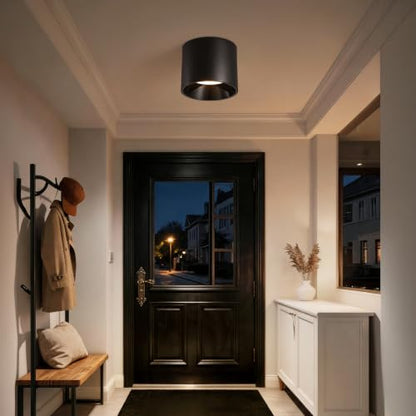 Flush Mount Ceiling Light Fixture