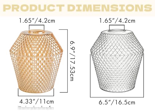 2Pcs Small Glass Lamp Shades