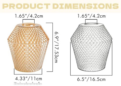 2Pcs Small Glass Lamp Shades