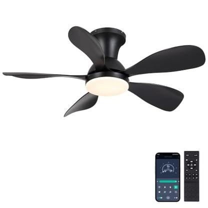 Ceiling Fan for Bedroom