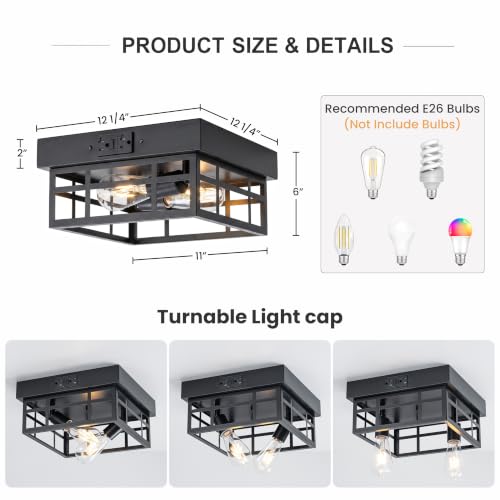 Flush Mount Light