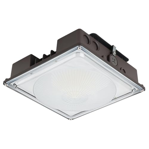 60W LED Canopy Light for Gas Station