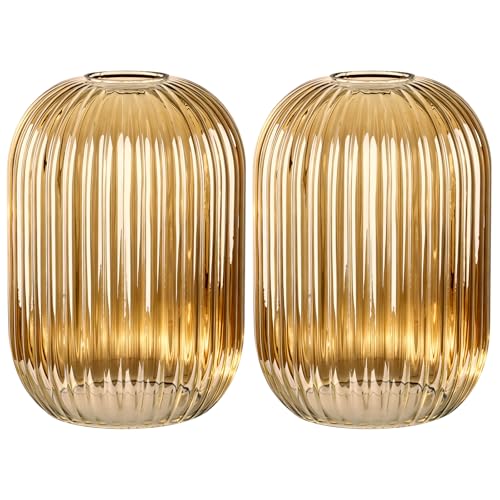 2PACK Glass Shade