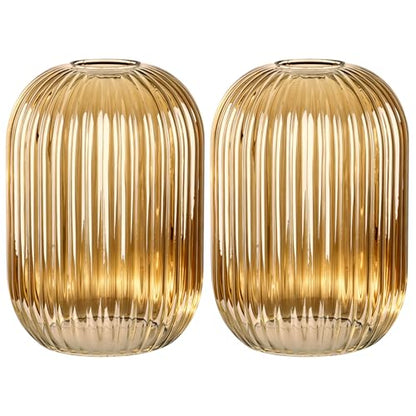 2PACK Glass Shade