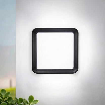 40W Outdoor led wall Light