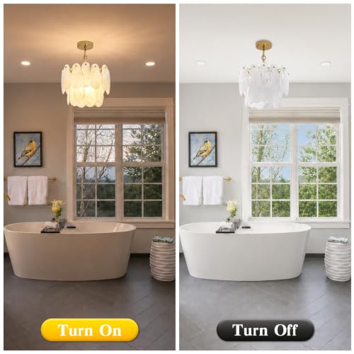 Modern Large Crystal Glass Chandelier