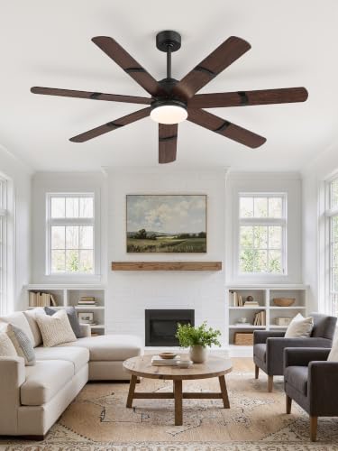 Ceiling Fans with Lights