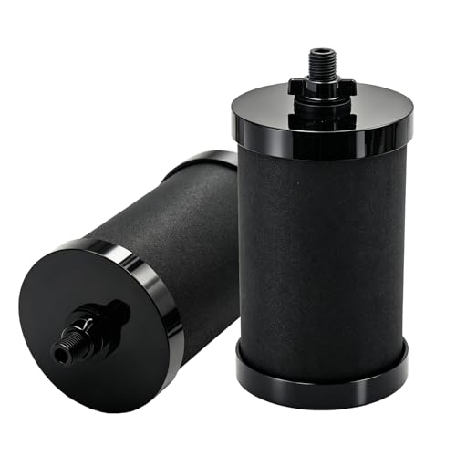 2387 Pro Filter Replacement (2 Packs)