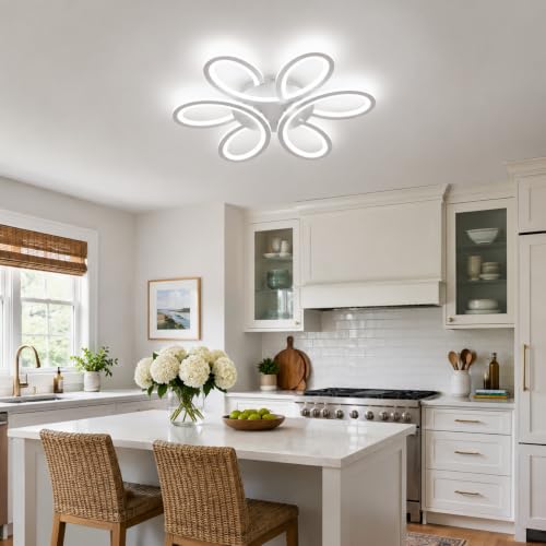 Modern LED Ceiling Light
