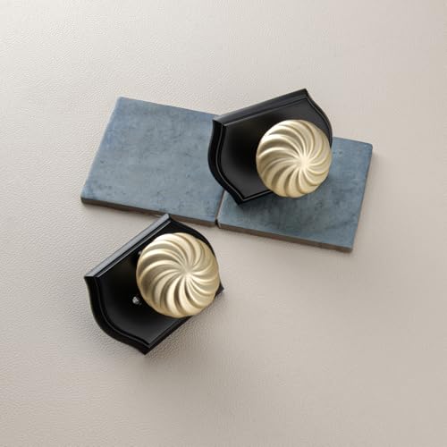 White Door Knobs Interior with Black Camelot Trim for Privacy