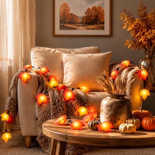 25FT Outdoor String Lights for Holiday Decor
