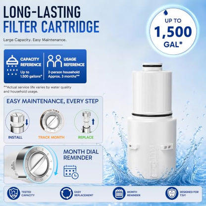 Filtered Shower Head with Handheld