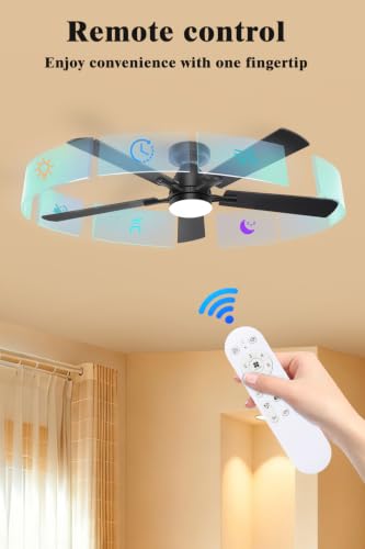 Ceiling Fan with Light