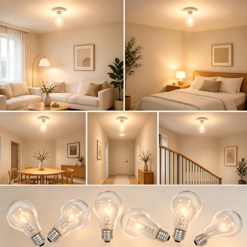 75W Incandescent Bulbs