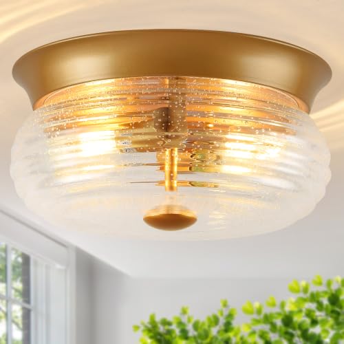 Flush Mount Ceiling Light Fixtures