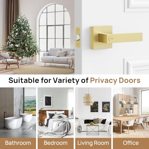 Door Handles Interior Door Knobs