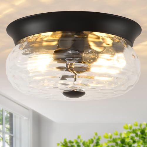 Flush Mount Ceiling Light Fixtures