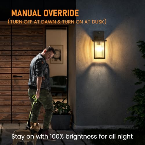Outdoor Wall Light