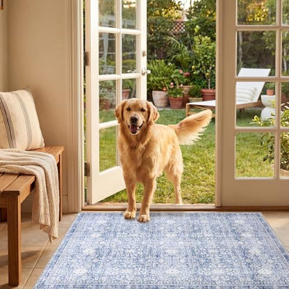2x3 Area Rugs (Light Blue / 2' x 3' (Rectangular))