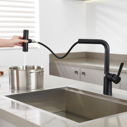 Black Waterfall Kitchen Faucets with Pull Down Sprayer (Waterfall / W-Matte Black)