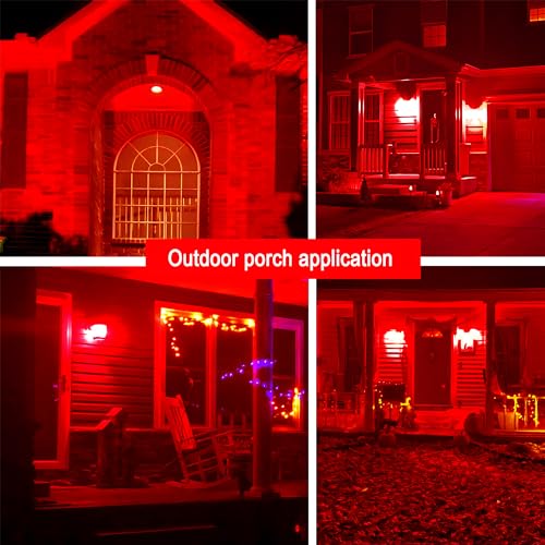 LED Color Light Bulb