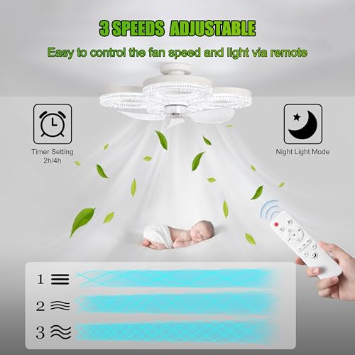 Socket Ceiling Fan Light