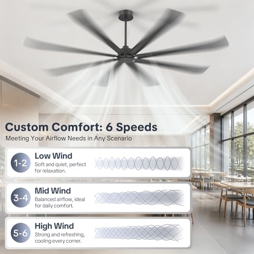 Large Industrial Ceiling Fan with cleaner