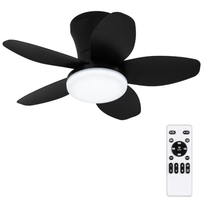 Small Ceiling Fan with Lights