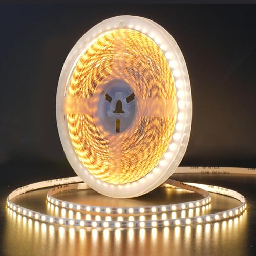 32.8ft LED Strip Lights DC24V