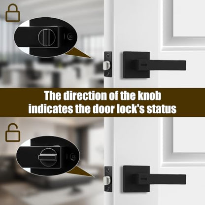 Privacy Door Handle with Lock