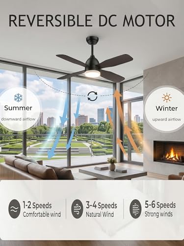 Ceiling Fans with Lights