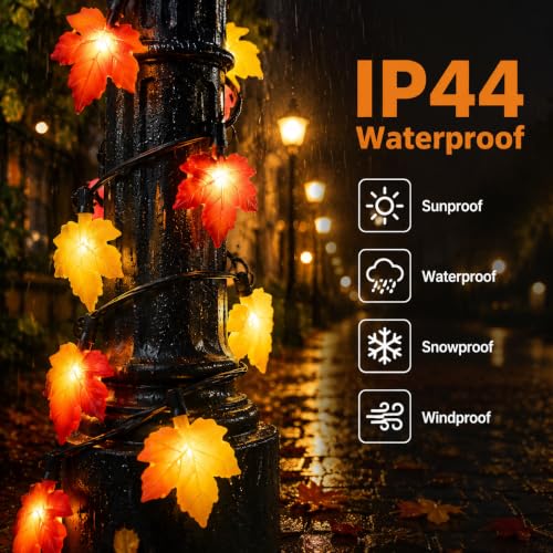 25FT Outdoor String Lights for Holiday Decor